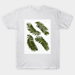 4 Jacaranda leaves on white. T-Shirt